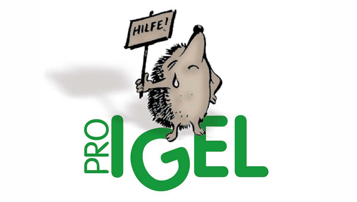 Auf diesen Fotos sehen Sie die Folgen nächtlichen Mährobotereinsatzes! Nicht alle diese schwer verletzten Igel konnten gerettet werden!