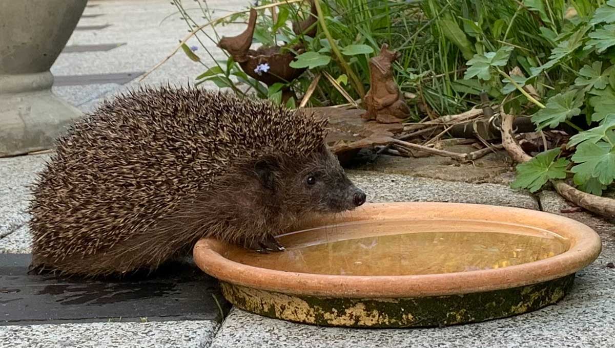 Frühjahr